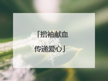 撸袖献血 传递爱心