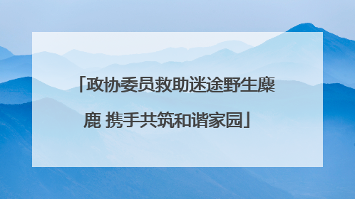 政协委员救助迷途野生麋鹿 携手共筑和谐家园
