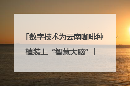 数字技术为云南咖啡种植装上“智慧大脑”