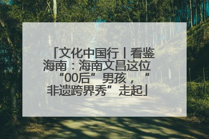 文化中国行丨看鉴海南：海南文昌这位“00后”男孩，“非遗跨界秀”走起