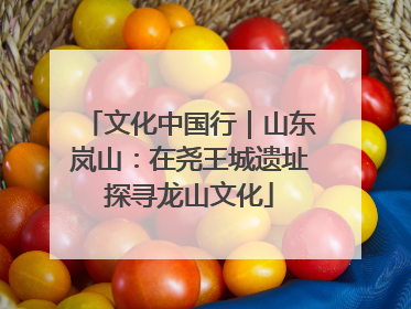 文化中国行｜山东岚山：在尧王城遗址探寻龙山文化