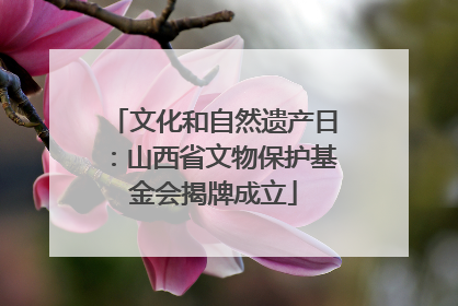 文化和自然遗产日：山西省文物保护基金会揭牌成立