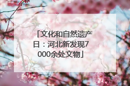 文化和自然遗产日：河北新发现7000余处文物