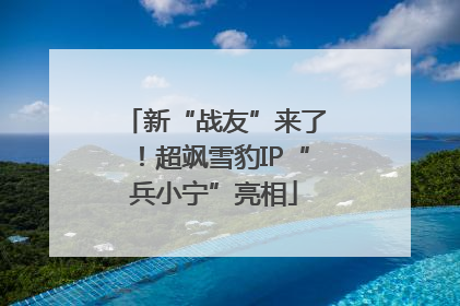 新“战友”来了！超飒雪豹IP“兵小宁”亮相