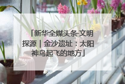 新华全媒头条·文明探源｜金沙遗址：太阳神鸟起飞的地方
