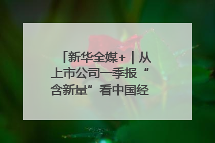 新华全媒+｜从上市公司一季报“含新量”看中国经济发展向“新”