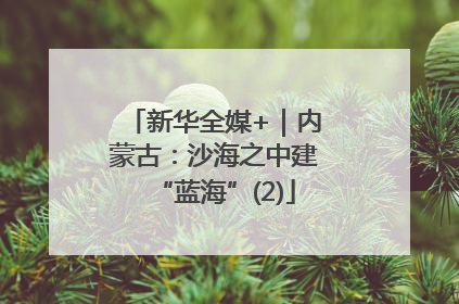 新华全媒+｜内蒙古：沙海之中建“蓝海”(2)