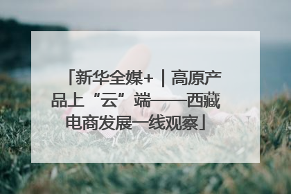 新华全媒+｜高原产品上“云”端——西藏电商发展一线观察