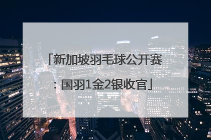 新加坡羽毛球公开赛：国羽1金2银收官
