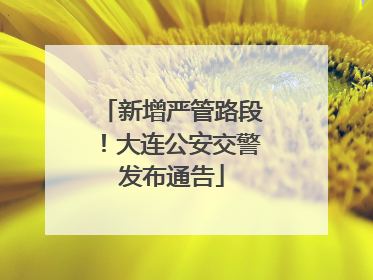 新增严管路段！大连公安交警发布通告