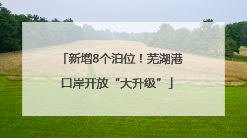 新增8个泊位！芜湖港口岸开放“大升级”