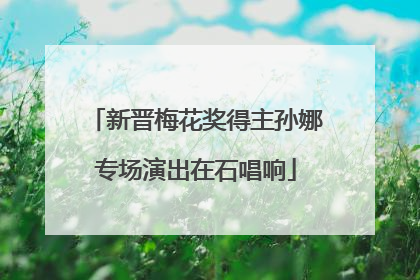 新晋梅花奖得主孙娜专场演出在石唱响