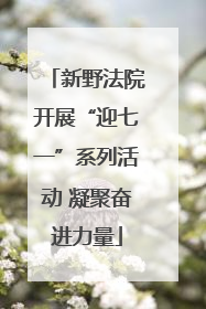 新野法院开展“迎七一”系列活动 凝聚奋进力量