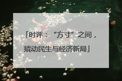 时评：“方寸”之间，撬动民生与经济新局