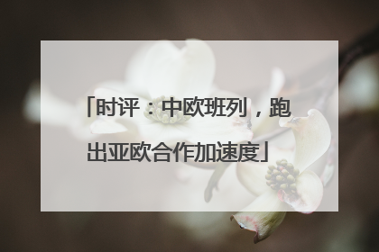 时评：中欧班列，跑出亚欧合作加速度