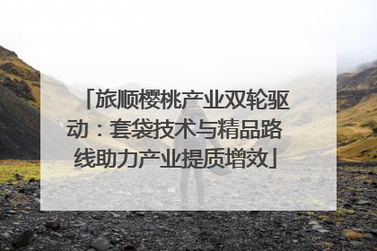旅顺樱桃产业双轮驱动：套袋技术与精品路线助力产业提质增效