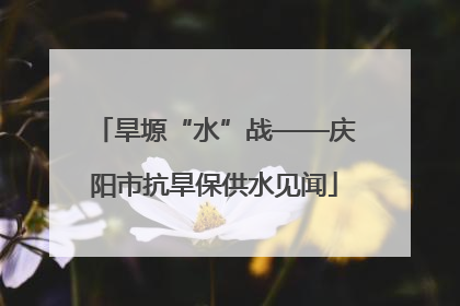旱塬“水”战——庆阳市抗旱保供水见闻