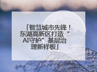 智慧城市先锋！东湖高新区打造“AI守护”基层治理新样板