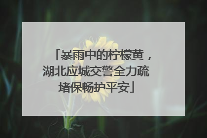 暴雨中的柠檬黄，湖北应城交警全力疏堵保畅护平安