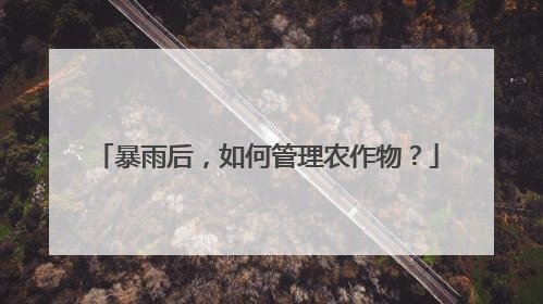 暴雨后，如何管理农作物？