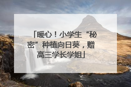 暖心！小学生“秘密”种植向日葵，赠高三学长学姐