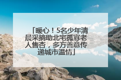 暖心！5名少年清晨采摘助北宅孤寡老人售杏，多方善意传递城市温情
