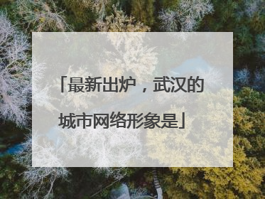 最新出炉，武汉的城市网络形象是