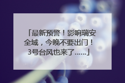 最新预警！影响瑞安全域，今晚不要出门！3号台风也来了……