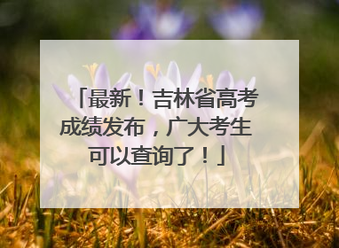 最新！吉林省高考成绩发布，广大考生可以查询了！