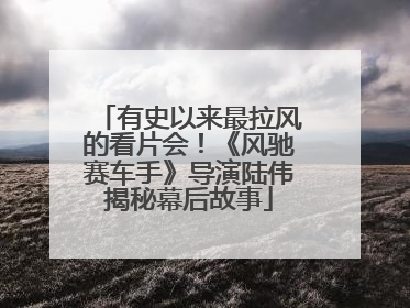 有史以来最拉风的看片会！《风驰赛车手》导演陆伟揭秘幕后故事