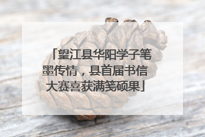 望江县华阳学子笔墨传情，县首届书信大赛喜获满笺硕果