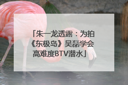 朱一龙透露：为拍《东极岛》吴磊学会高难度BTV潜水