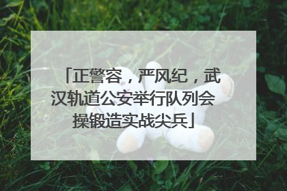 正警容，严风纪，武汉轨道公安举行队列会操锻造实战尖兵