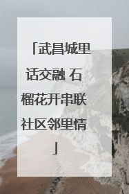 武昌城里话交融 石榴花开串联社区邻里情