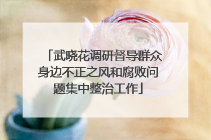 武晓花调研督导群众身边不正之风和腐败问题集中整治工作