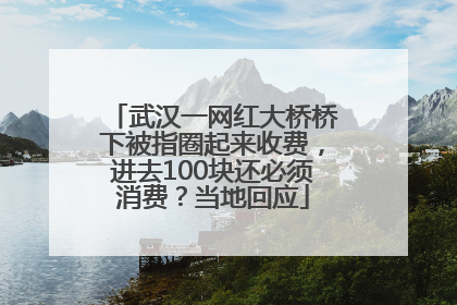 武汉一网红大桥桥下被指圈起来收费，进去100块还必须消费？当地回应