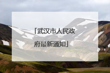 武汉市人民政府最新通知