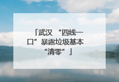 武汉 “四线一口”暴露垃圾基本 “清零”