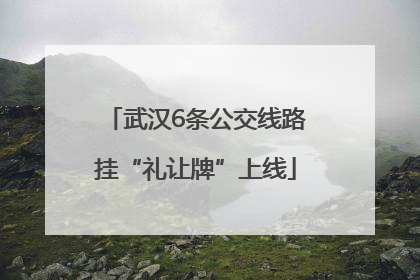 武汉6条公交线路挂“礼让牌”上线