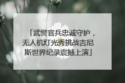 武警官兵忠诚守护，无人机灯光秀挑战吉尼斯世界纪录震撼上演