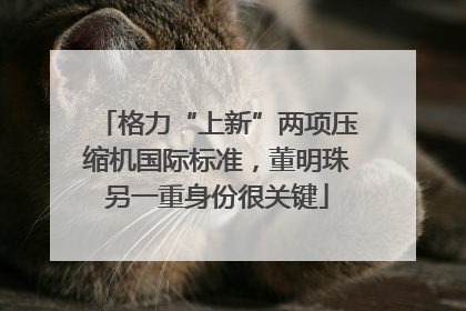 格力“上新”两项压缩机国际标准，董明珠另一重身份很关键