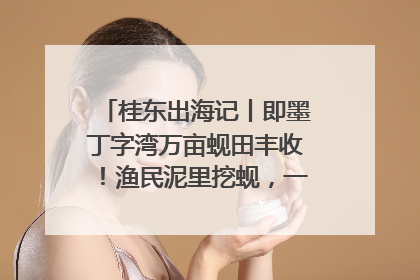 桂东出海记丨即墨丁字湾万亩蚬田丰收！渔民泥里挖蚬，一天上岸过千斤