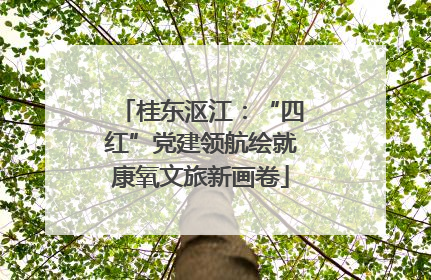 桂东沤江：“四红”党建领航绘就康氧文旅新画卷