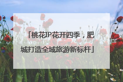 桃花IP花开四季，肥城打造全域旅游新标杆