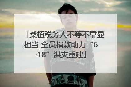 桑植税务人不等不靠显担当 全员捐款助力“6·18”洪灾重建