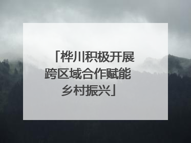 桦川积极开展跨区域合作赋能乡村振兴