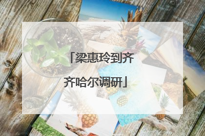 梁惠玲到齐齐哈尔调研