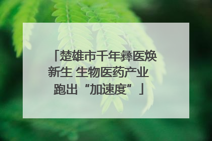 楚雄市千年彝医焕新生 生物医药产业跑出“加速度”