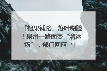 榕果铺路、落叶糊脸！泉州一路面变“溜冰场”，部门回应→