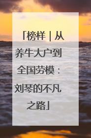 榜样｜从养牛大户到全国劳模：刘琴的不凡之路